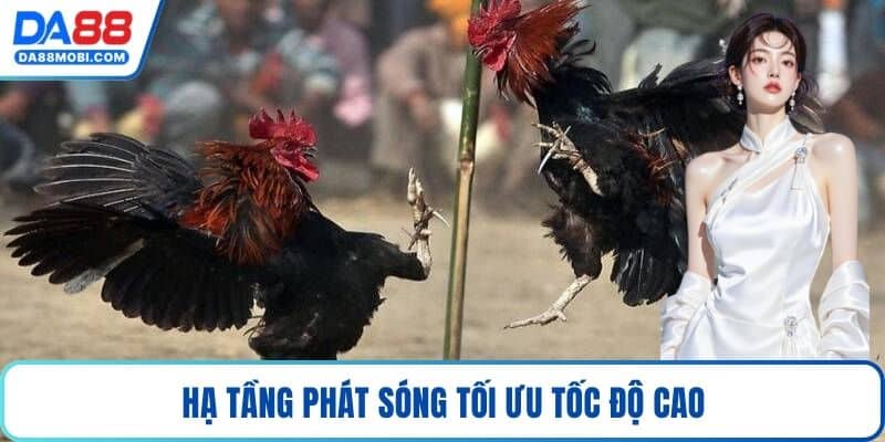 Hạ tầng phát sóng tối ưu tốc độ cao
